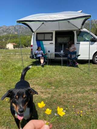 Кемпинги AgapeEscape Campervan Montenegro Подгорица-2